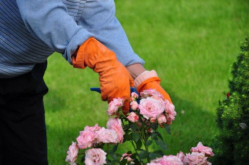 Seasonal garden clean-up activities in Pinner